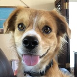 Entry image for Freddy