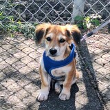 Entry image for Cruz