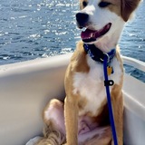 Entry image for Jake