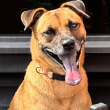 Entry image for Momma