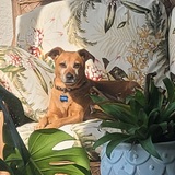 Entry image for Croix