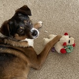 Entry image for Lilly