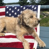 Entry image for Chevi