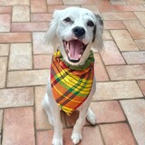 Entry image for Ollie 💙