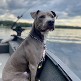 Entry image for Croix