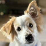 Entry image for Niner