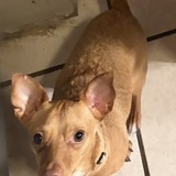 Entry image for Cooper