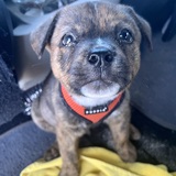 Entry image for Cruzan