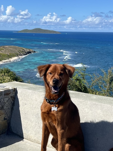 Entry image for Cruzan. Clicking this image will show a larger photo