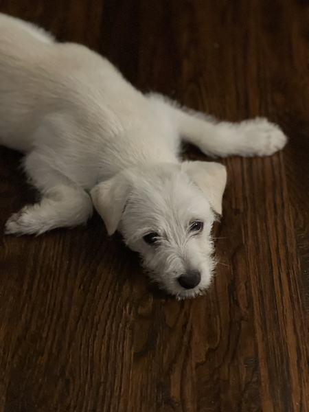 Entry image for Sandi. Clicking this image will show a larger photo