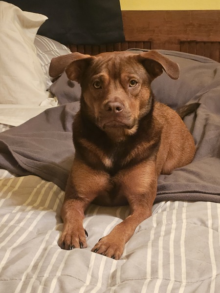 Entry image for MUFASA. Clicking this image will show a larger photo