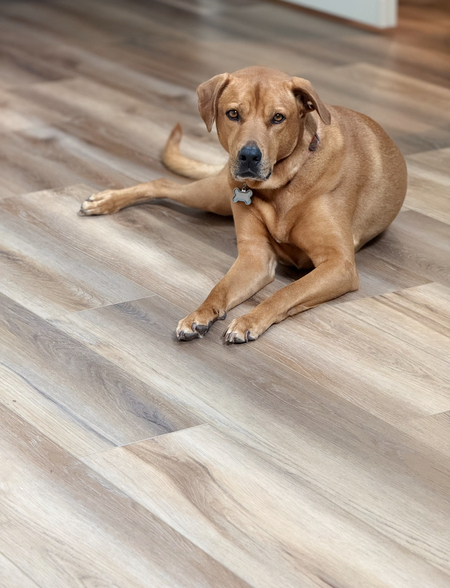 Entry image for Echo. Clicking this image will show a larger photo