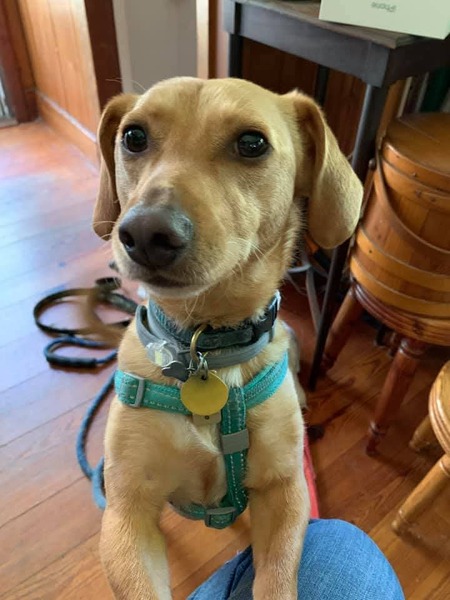 Entry image for Turtle . Clicking this image will show a larger photo