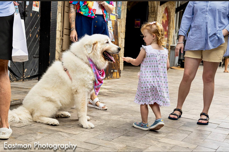 Entry image for Bianca. Clicking this image will show a larger photo