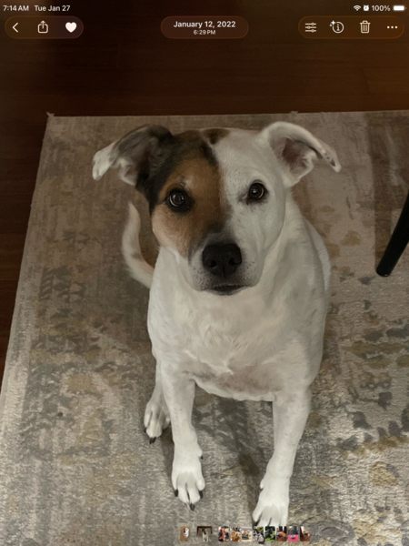 Entry image for Croix. Clicking this image will show a larger photo