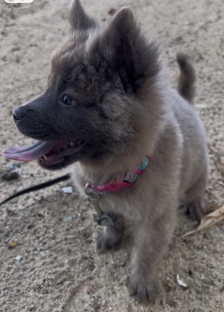 Entry image for Carley. Clicking this image will show a larger photo