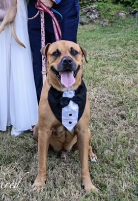 Entry image for Ovechkin Irma (Ovi). Clicking this image will show a larger photo