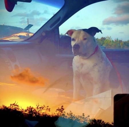 Entry image for Beja. Clicking this image will show a larger photo