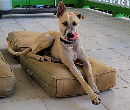 Entry image for Cameron (Cami). Clicking this image will show a larger photo