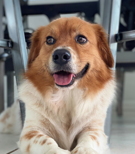 Entry image for Happy. Clicking this image will show a larger photo