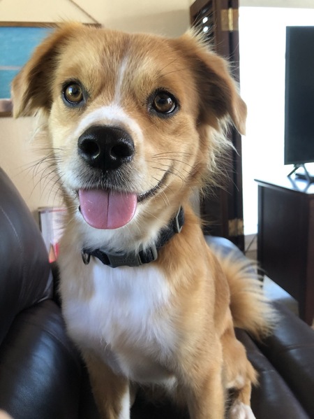 Entry image for Freddy. Clicking this image will show a larger photo