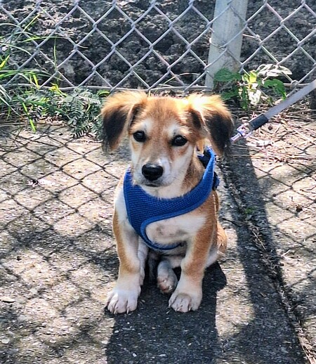 Entry image for Cruz. Clicking this image will show a larger photo