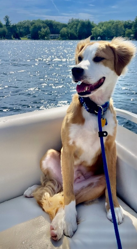 Entry image for Jake. Clicking this image will show a larger photo