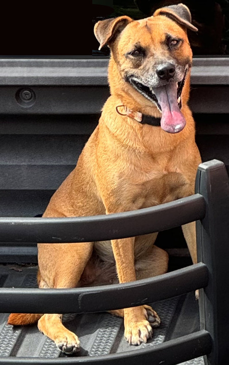 Entry image for Momma. Clicking this image will show a larger photo