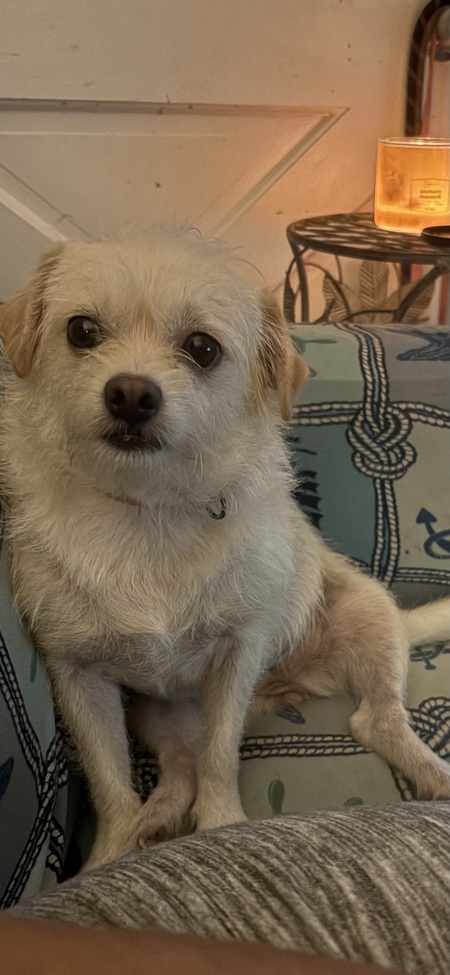 Entry image for Kelce. Clicking this image will show a larger photo