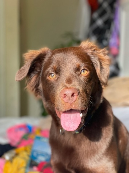 Entry image for Jade. Clicking this image will show a larger photo