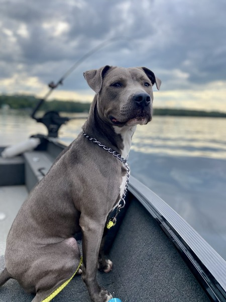 Entry image for Croix. Clicking this image will show a larger photo