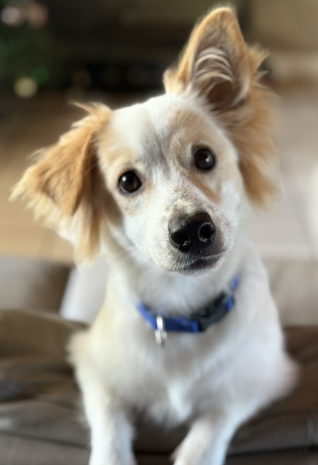 Entry image for Niner. Clicking this image will show a larger photo