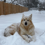 Entry image for Kiki (formerly Kilo)