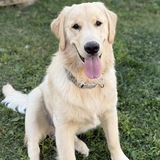 Entry image for Max