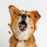 Entry image for Kazoo 