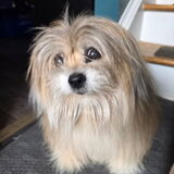 Entry image for Monty
