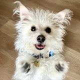 Entry image for Jerry