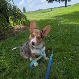 Entry image for Theo