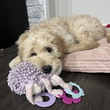 Entry image for Bailey 