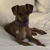 Entry image for Missy 