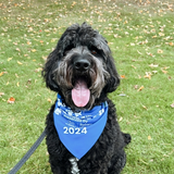 Entry image for Bear