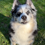 Entry image for Reginald