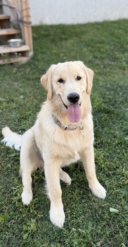 Entry image for Max. Clicking this image will show a larger photo