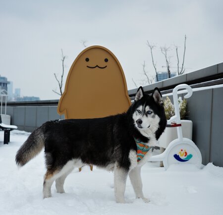 Entry image for SanHa. Clicking this image will show a larger photo