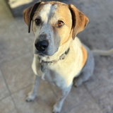 Entry image for Sebastian