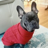 Entry image for Archie