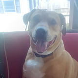 Entry image for Bella