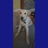 Entry image for Hydro