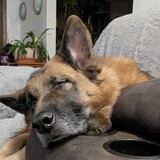 Entry image for Kimber