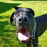 Entry image for George